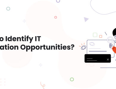 1 How to Identify IT Innovation Opportunities Software Development