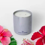 Candles Online